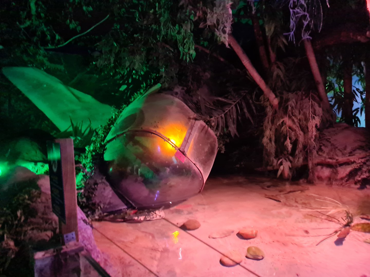 Second room - Amazonia