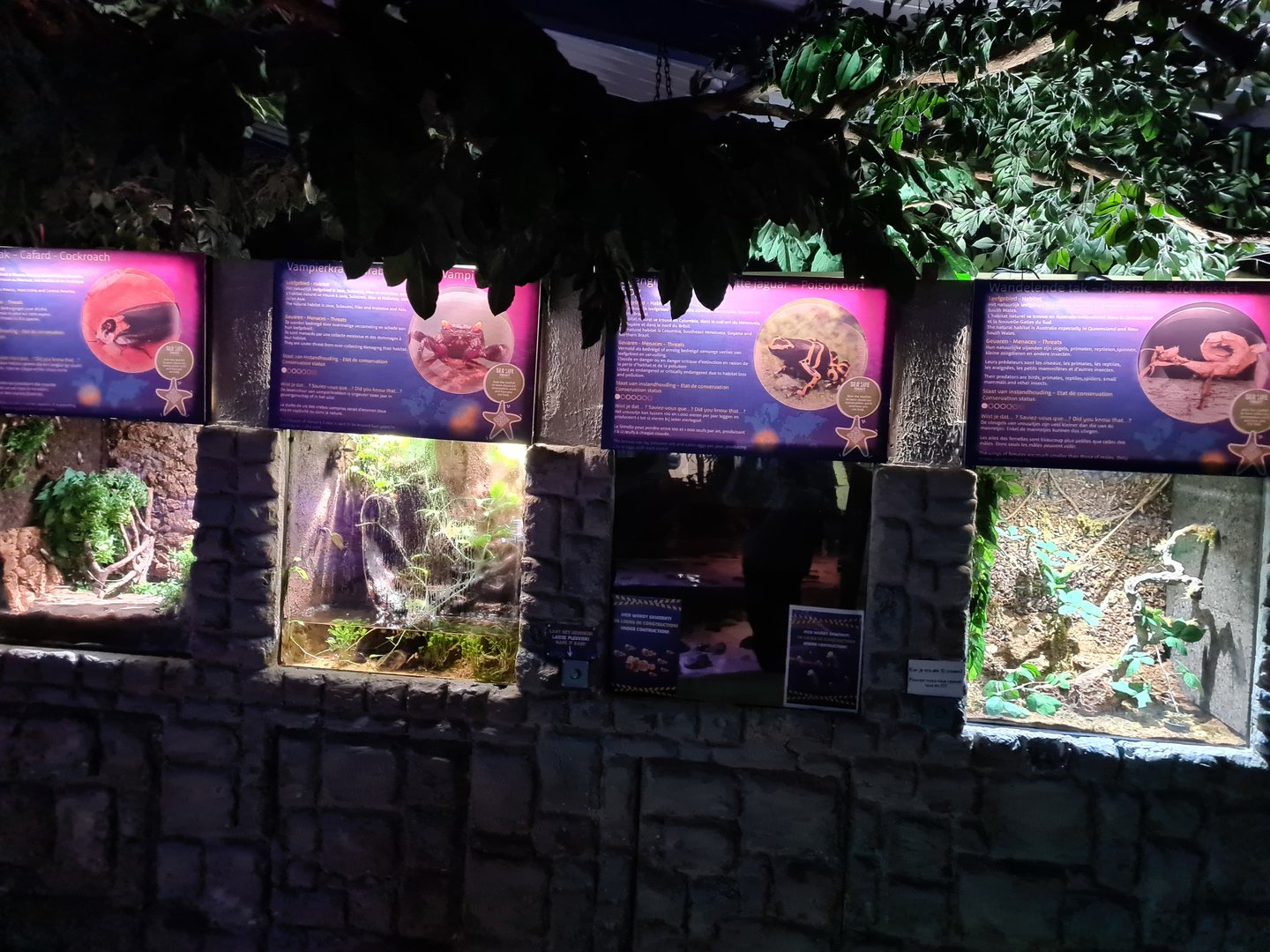 Second room - Terrariums