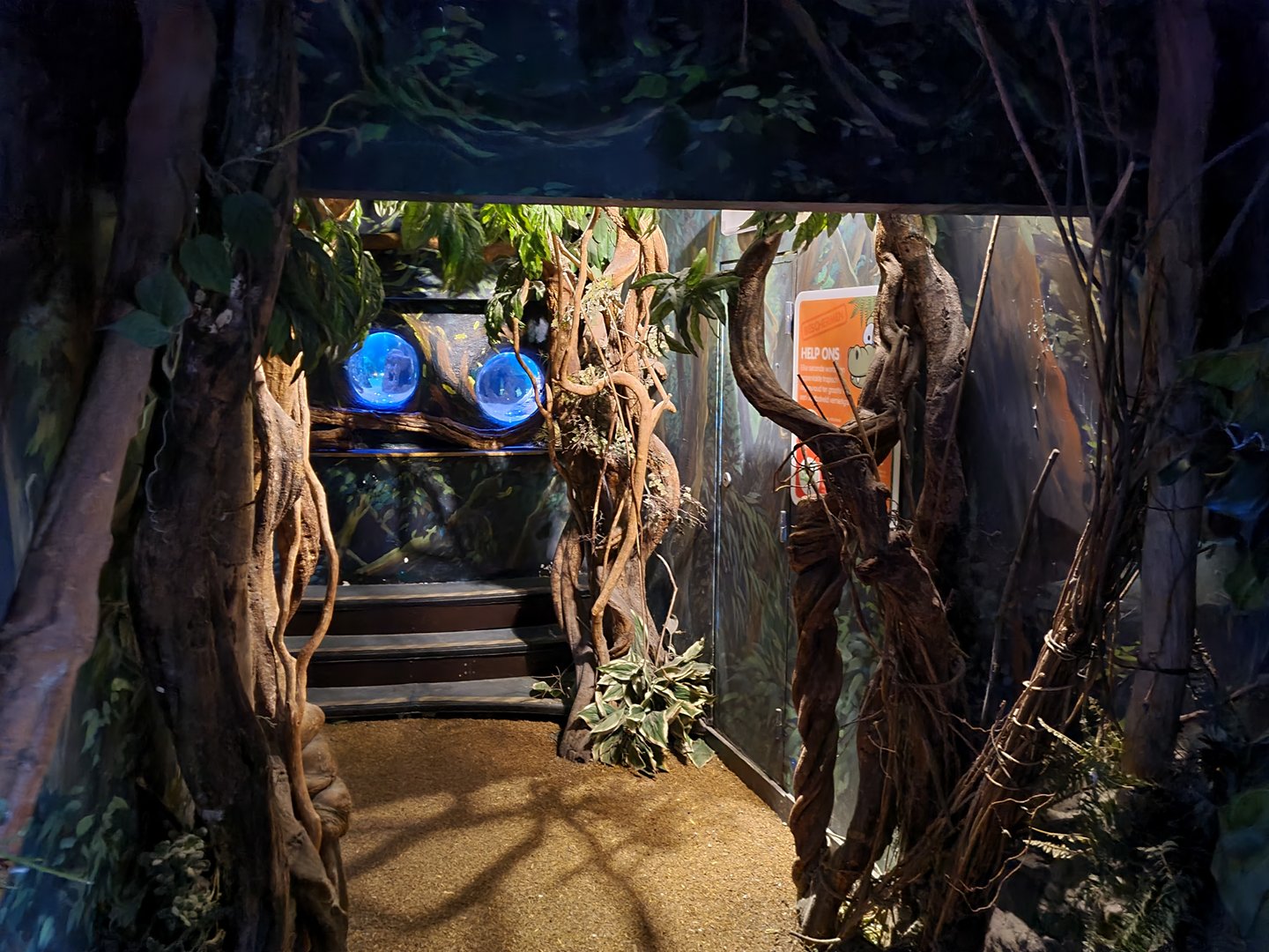 Second room - View into central tropical tank