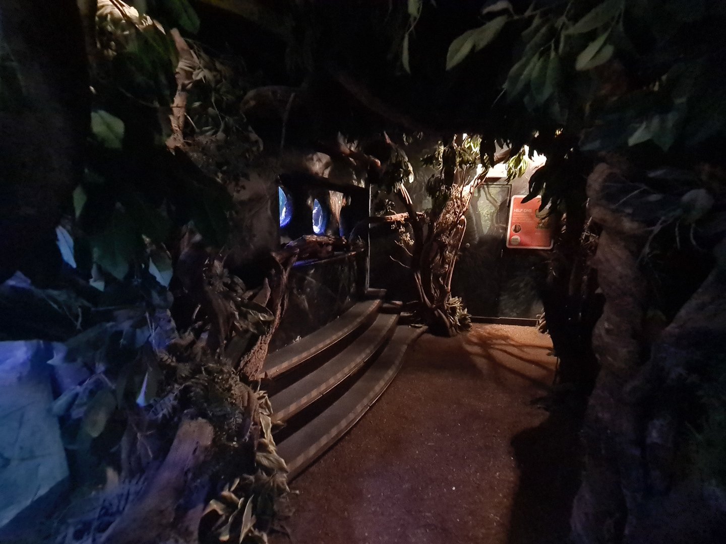 Second room - View into central tropical tank