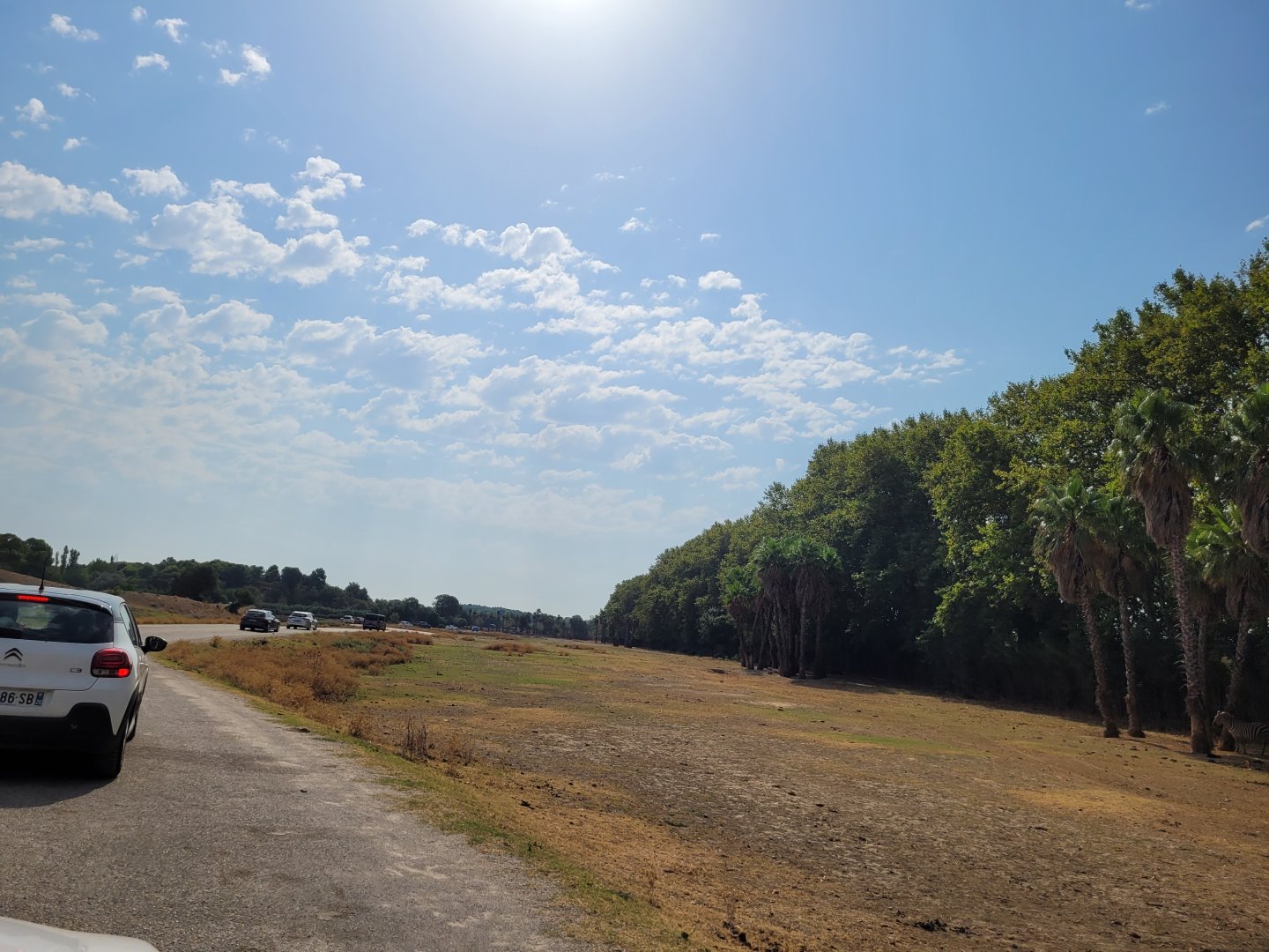 Second Savannah exhibit -Réserve Africaine de Sigean (2022)