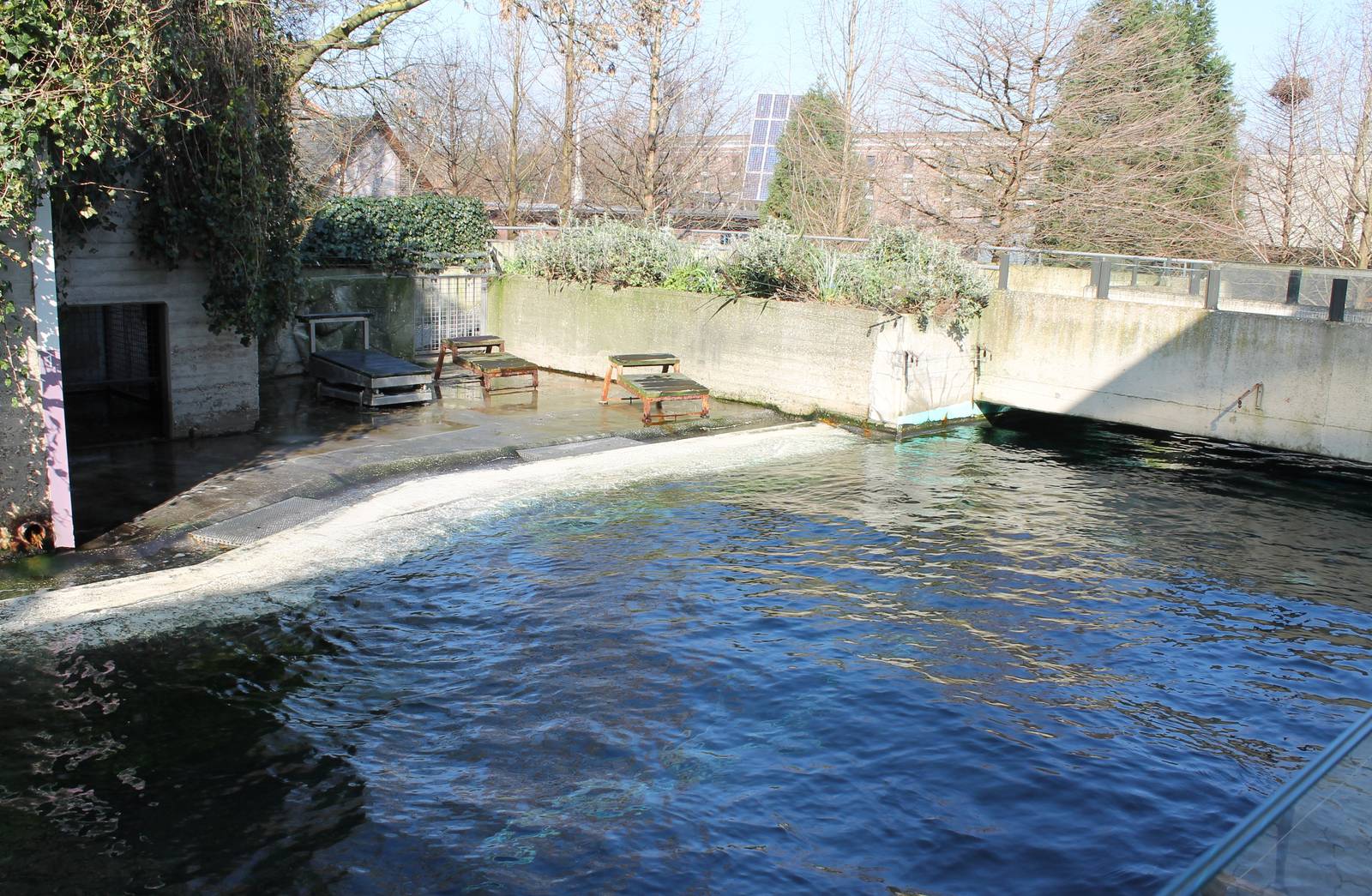 Second Sealion enclosure