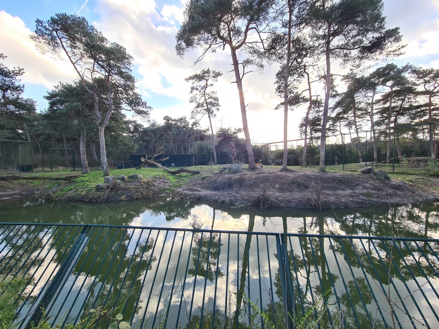 Second Siberian tiger enclosure