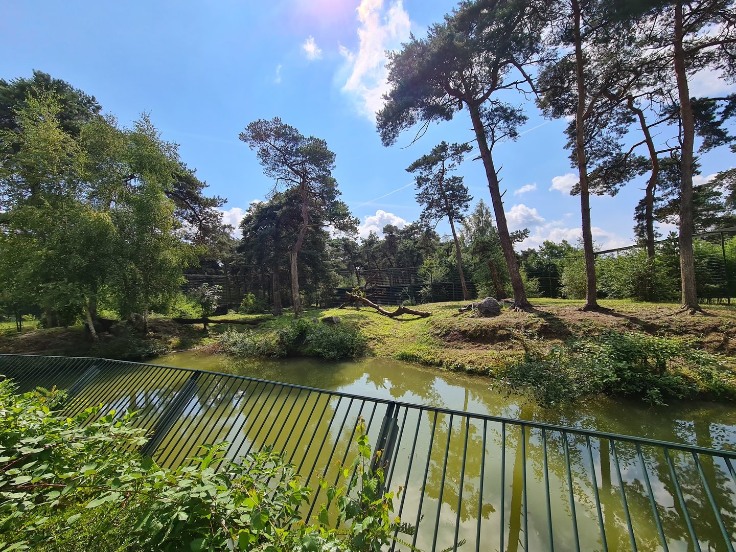 Second Siberian tiger enclosure