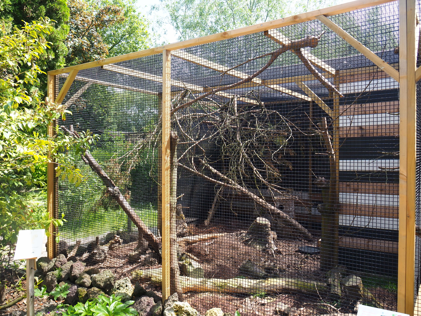 Second Siberian weasel exhibit, 2019-06-01