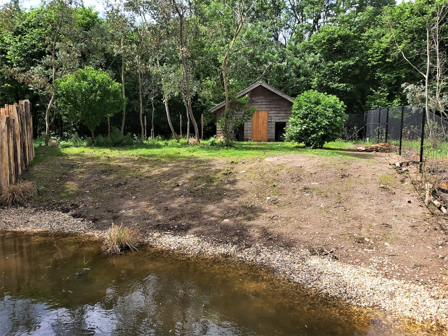 Second Southern cassowary enclosure