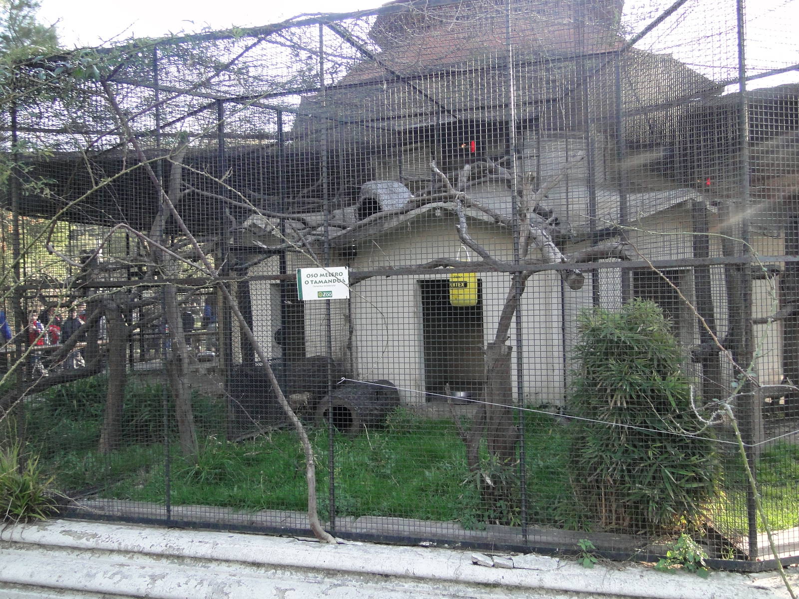 Second Southern Tamandua Cage