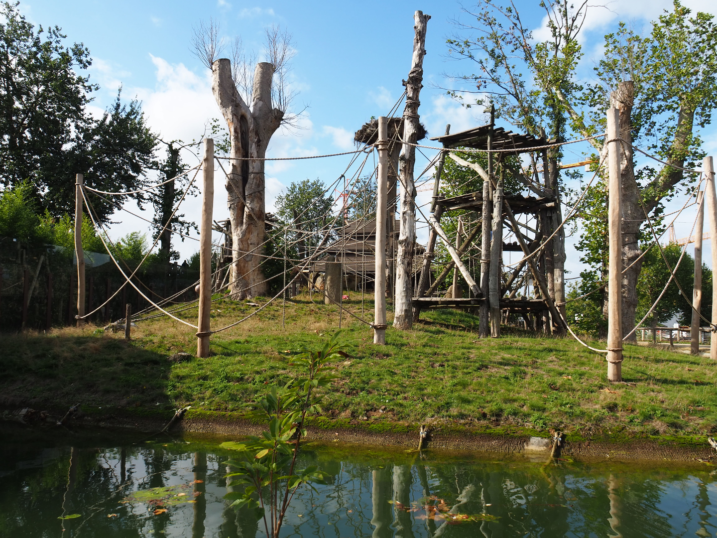 Second Sumatran orangutan island, 2019-10-04