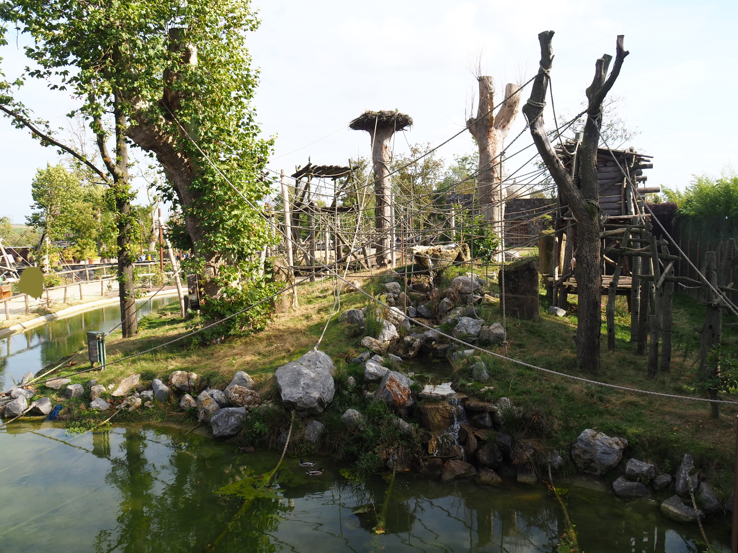 Second Sumatran orangutan island, 2019-10-04