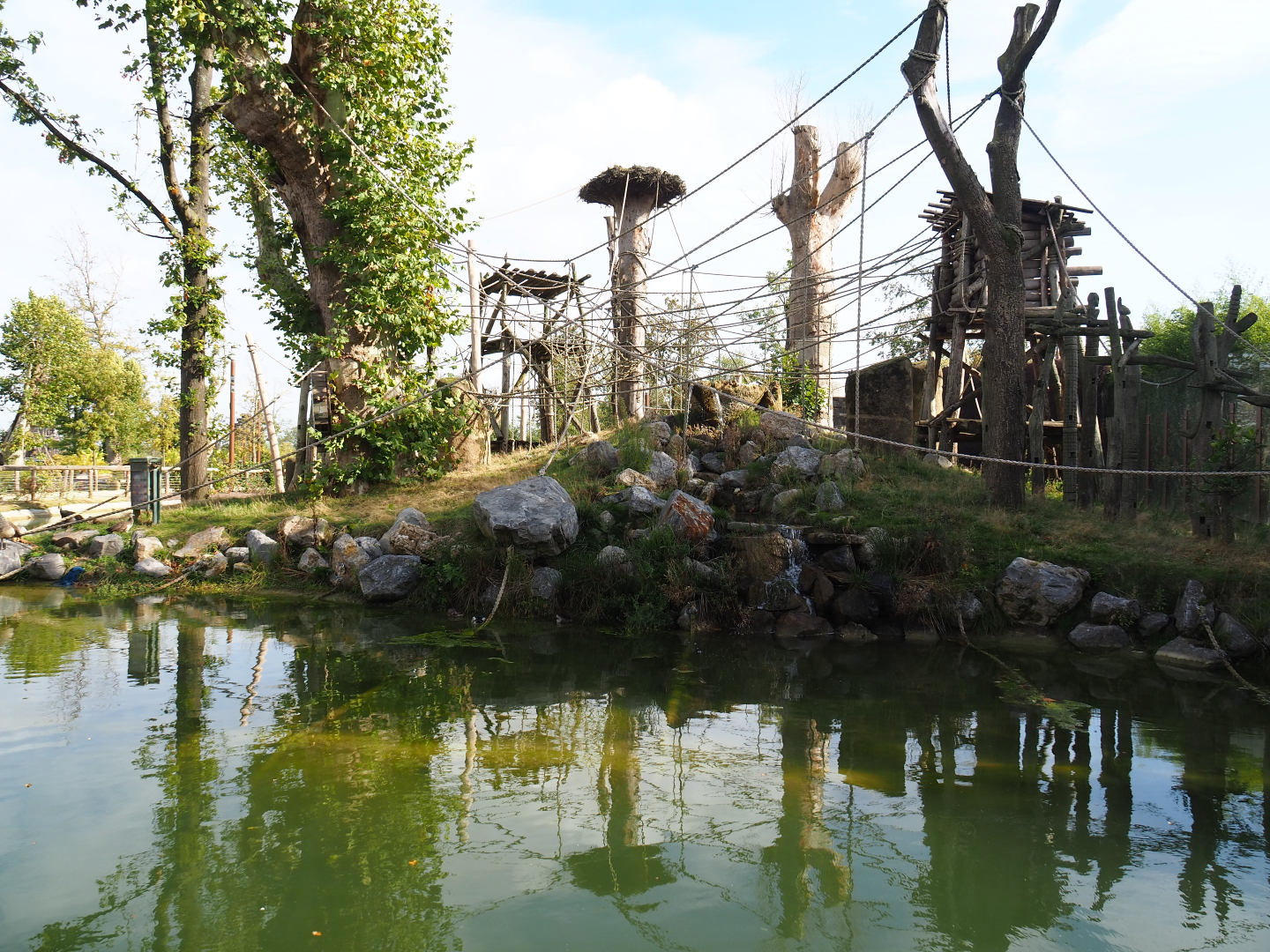 Second Sumatran orangutan island, 2019-10-04