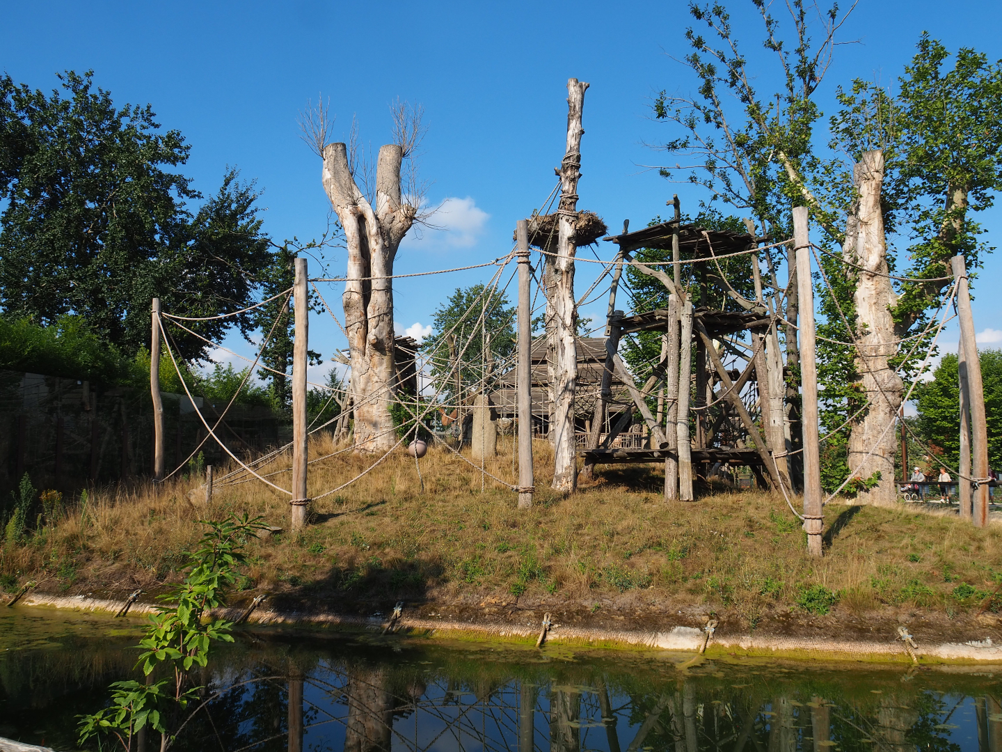 Second Sumatran orangutan island, 2020-09-02