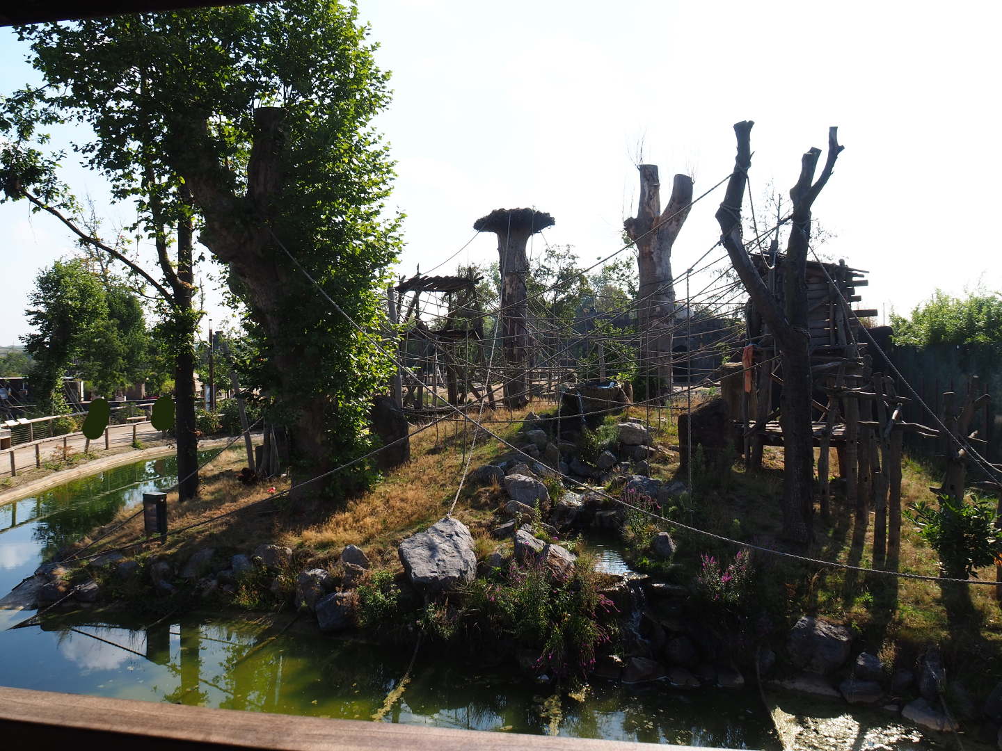 Second Sumatran orangutan island, 2020-09-02