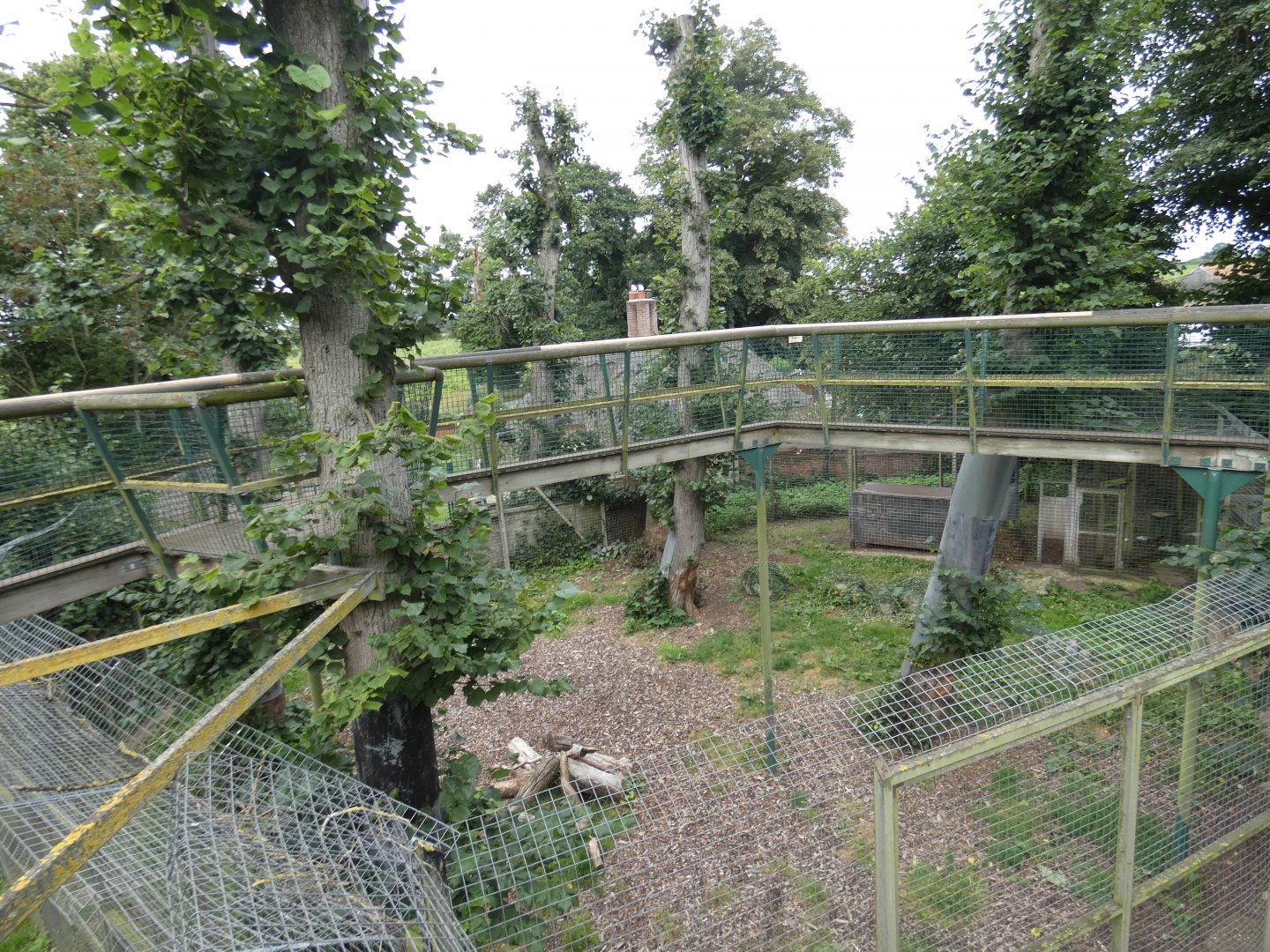 Second Sumatran tiger enclosure