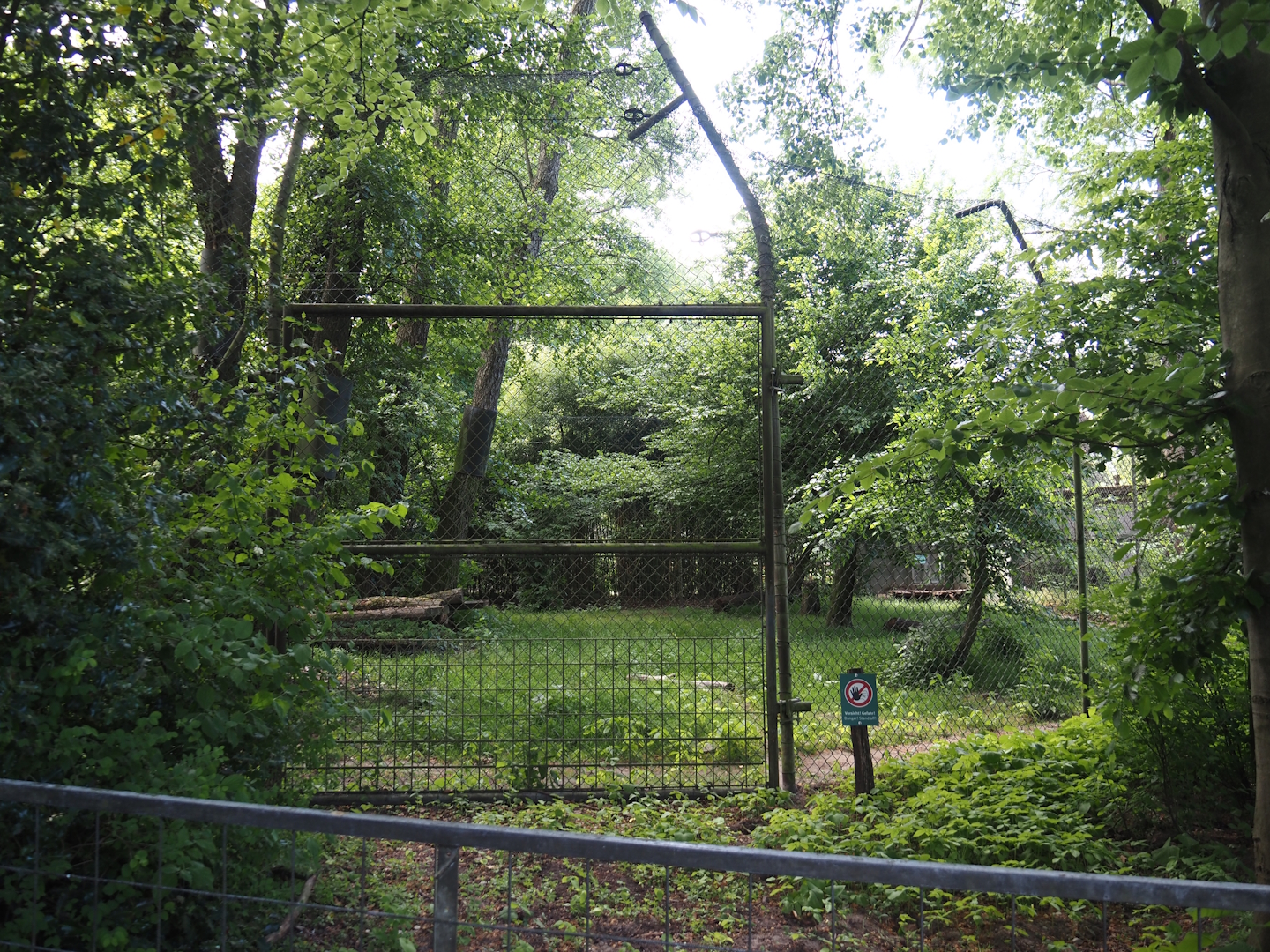 Second Sumatran tiger exhibit, 2025-05-22