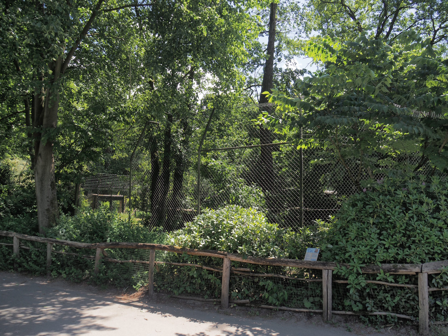 Second Sumatran tiger exhibit, 2025-05-22