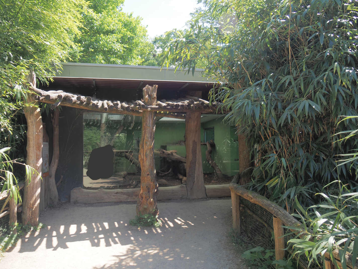 Second Sumatran tiger indoor exhibit, 2025-05-22