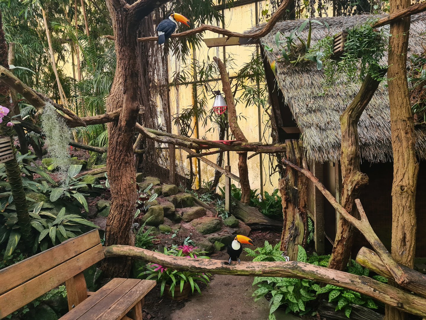 Second tamarin house in "Amazon" hall