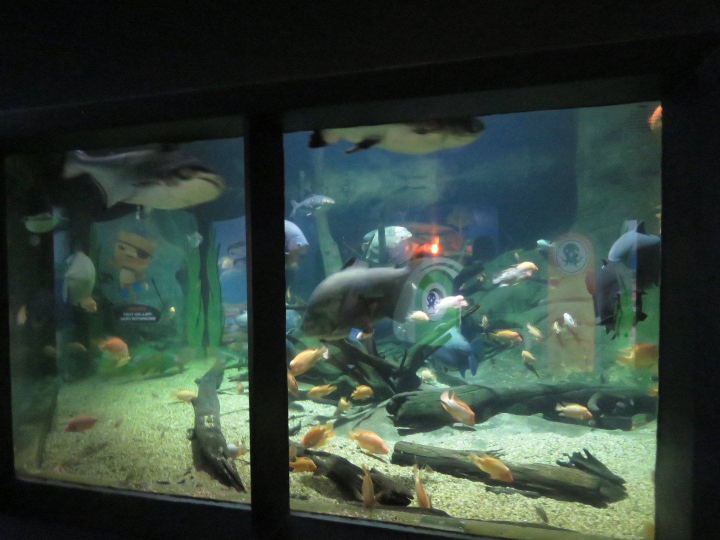 Second Tank in freswater zone