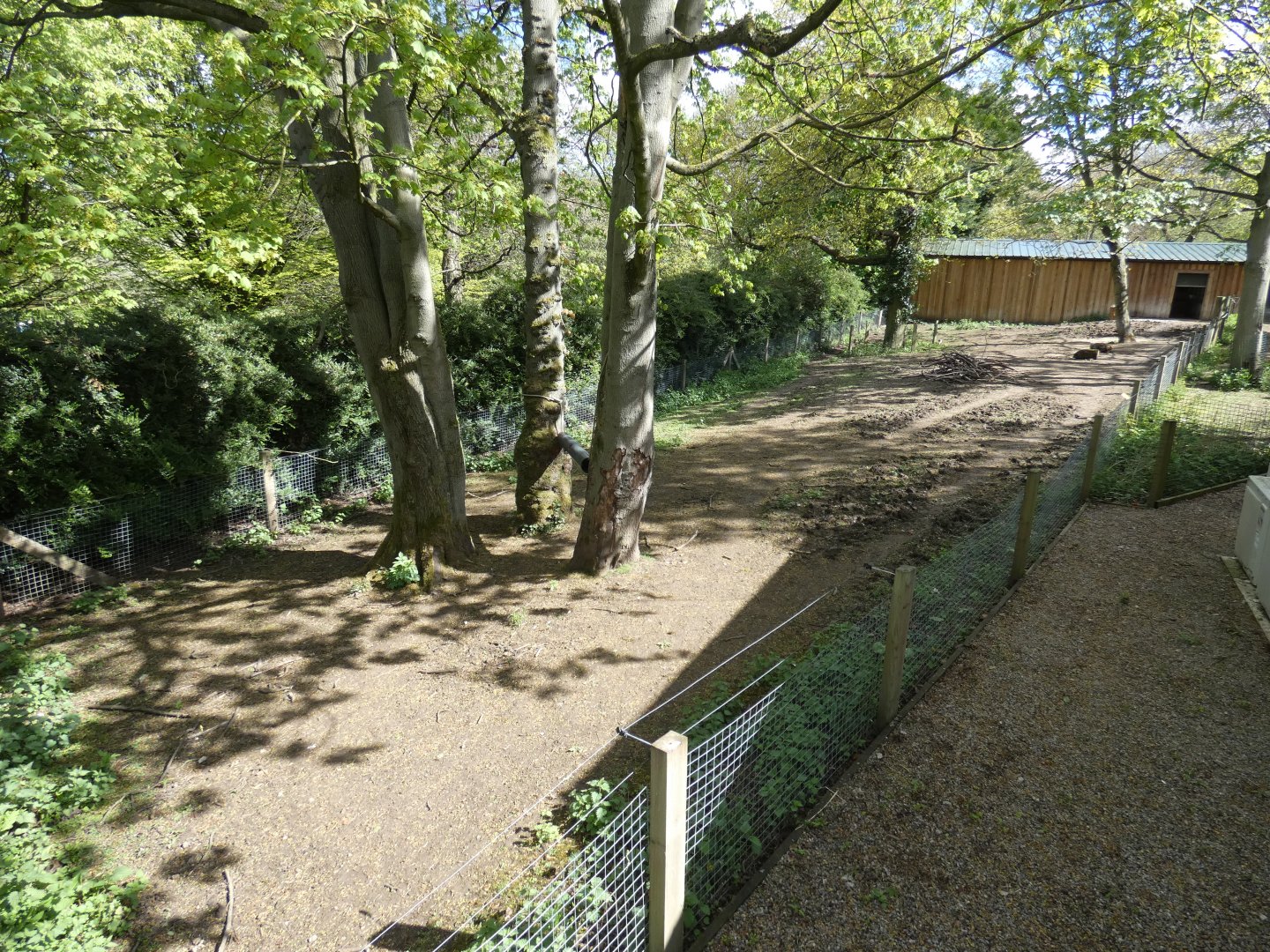 Second tapir enclosure