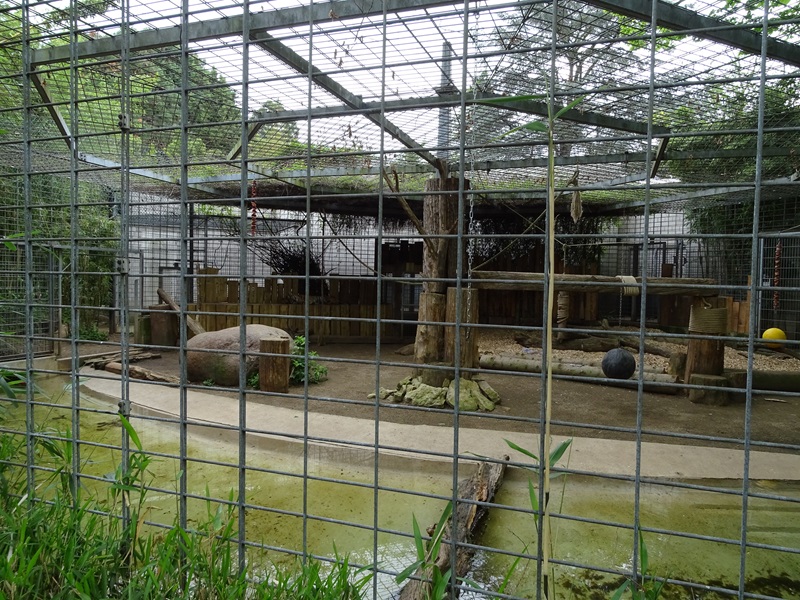 Second tiger enclosure