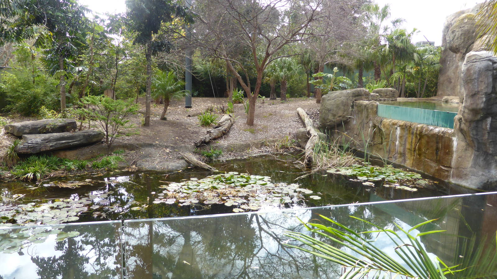 Second tiger exhibit