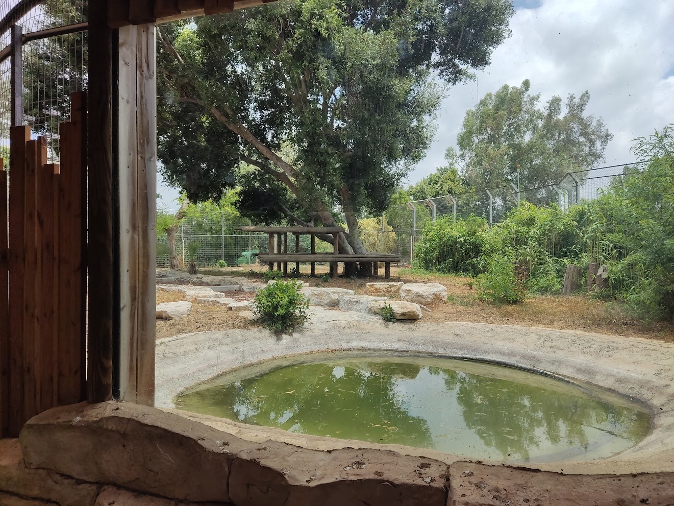 Second Tiger Exhibit