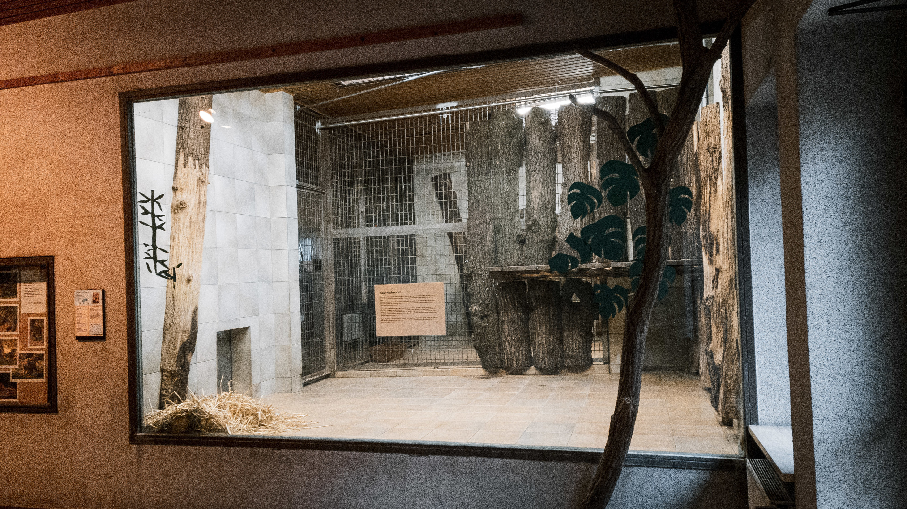 Second Tiger inoor area