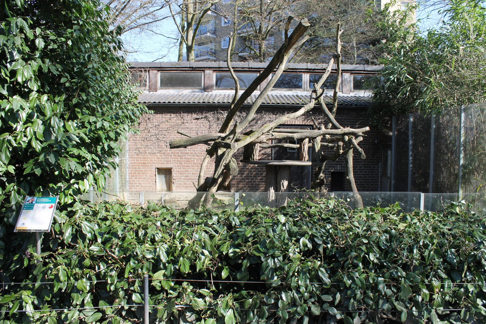 Second Tree kangaroo-enclosure