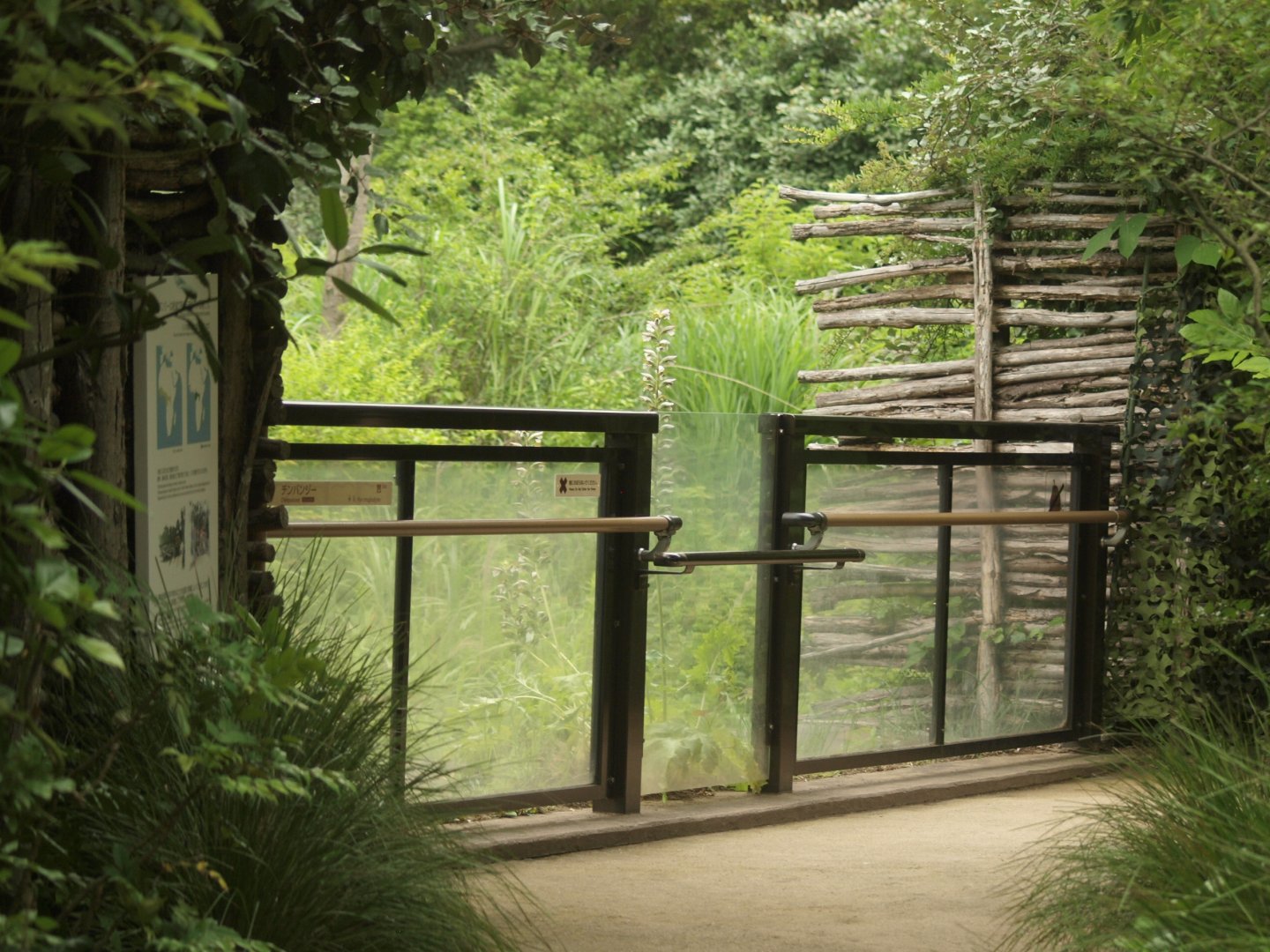 Second viewing area for chimpanzees