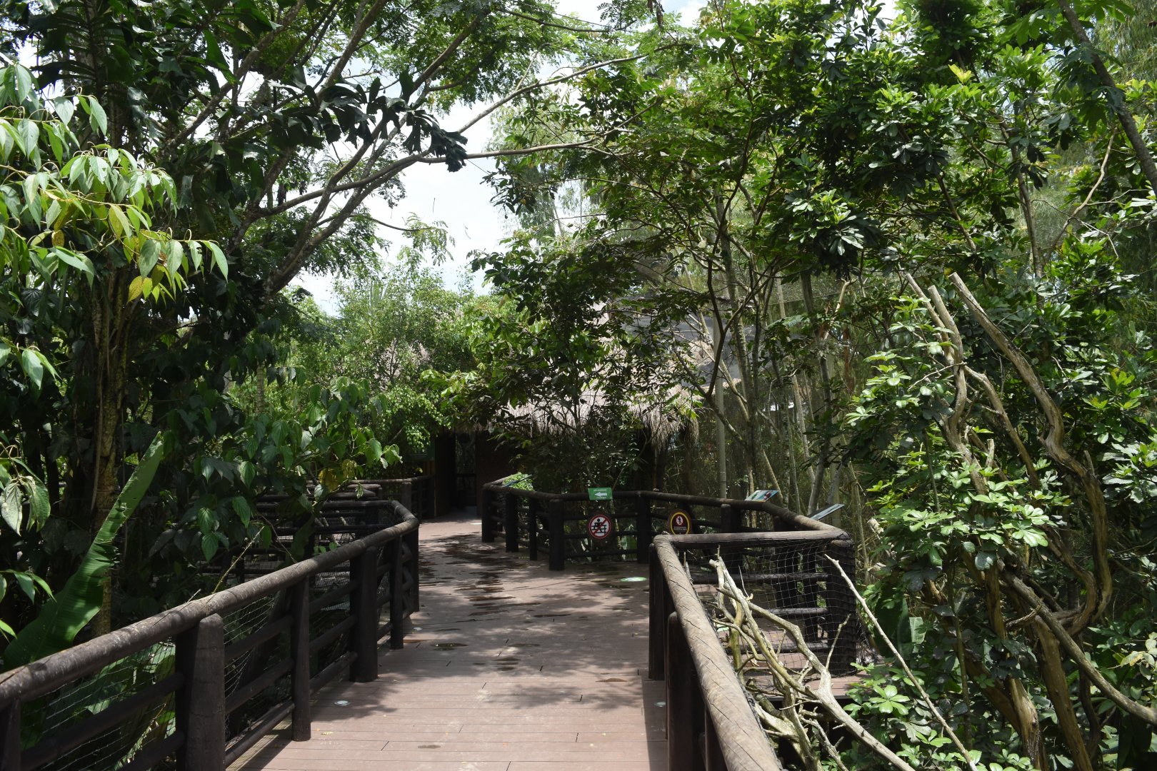 Second walk through aviary