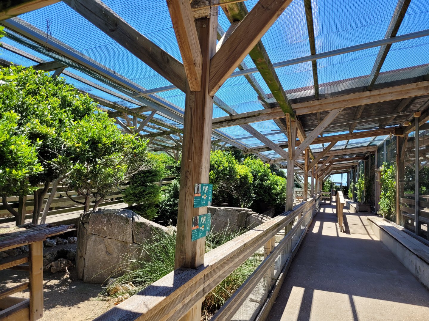 Second walkthrough aviary -Sendaviva (2024)