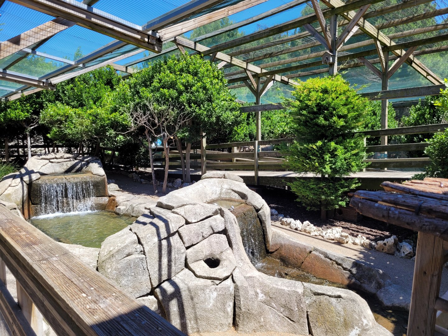 Second walkthrough aviary -Sendaviva (2024)