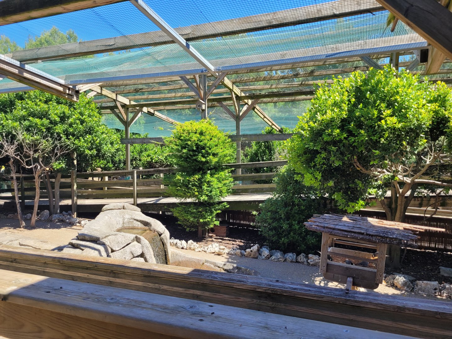 Second walkthrough aviary -Sendaviva (2024)