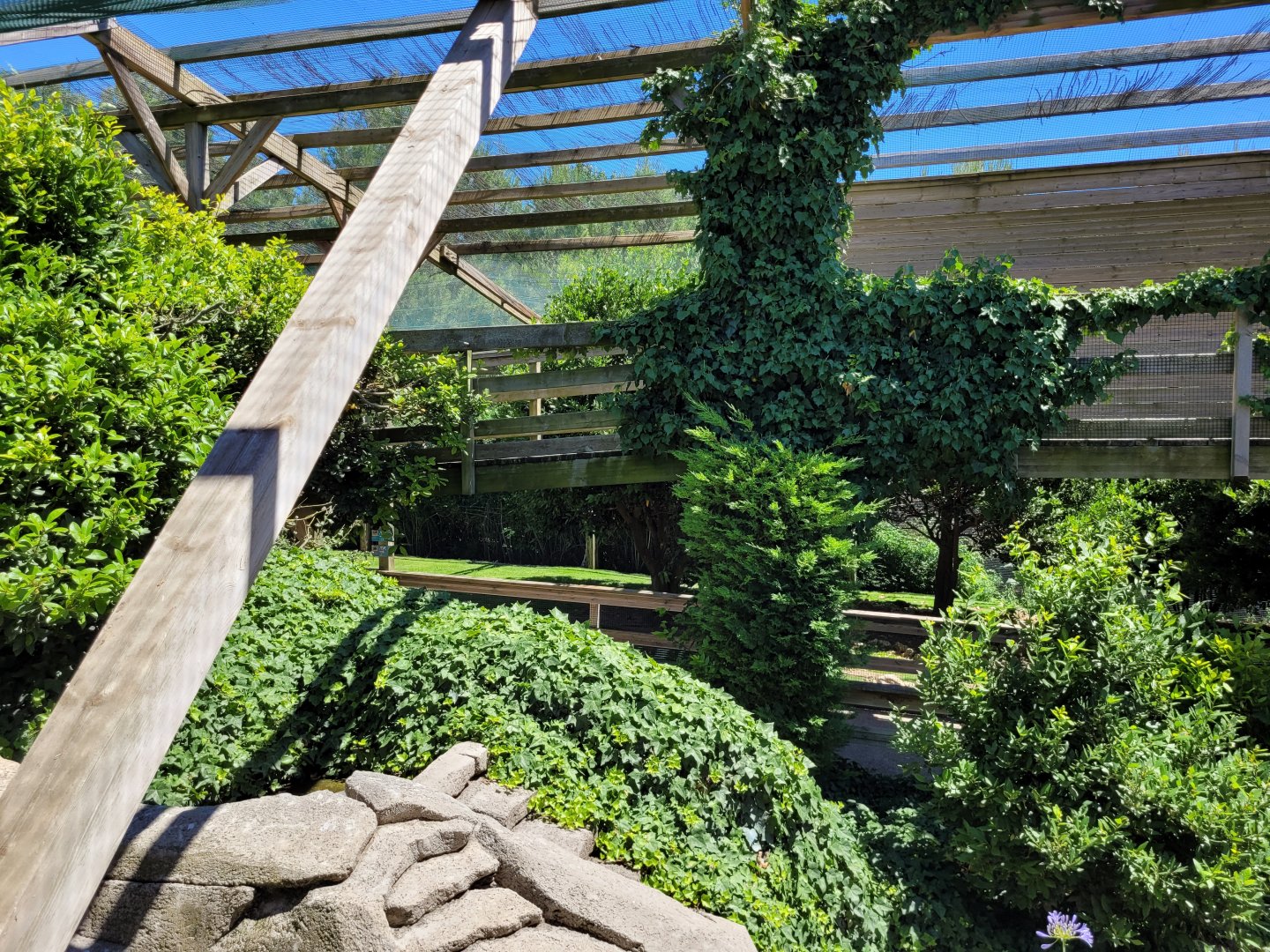 Second walkthrough aviary -Sendaviva (2024)