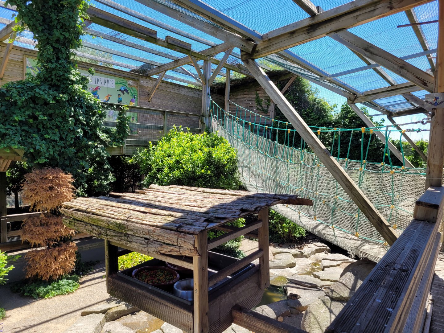 Second walkthrough aviary -Sendaviva (2024)