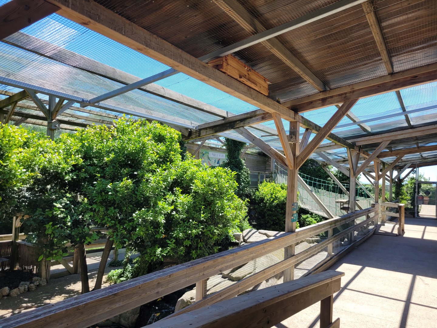 Second walkthrough aviary -Sendaviva (2024)