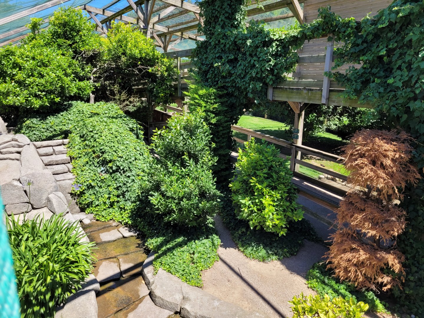 Second walkthrough aviary -Sendaviva (2024)