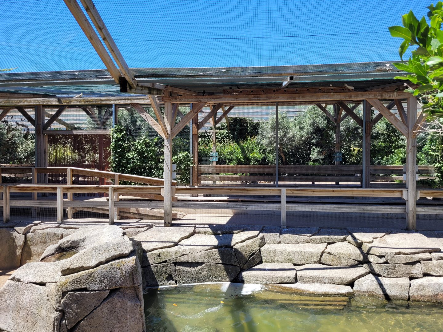 Second walkthrough aviary -Sendaviva (2024)