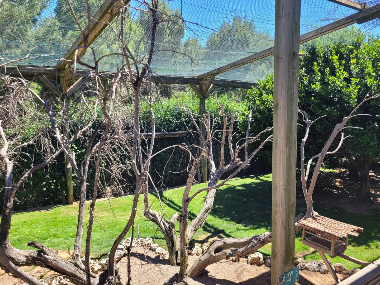 Second walkthrough aviary -Sendaviva (2024)