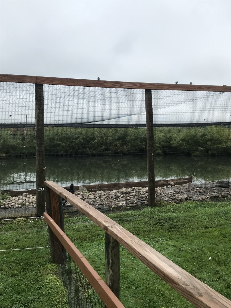 Second Waterfowl Aviary