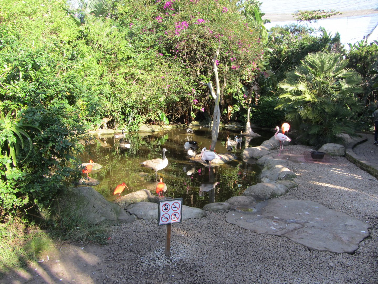 Second Waterfowl Pond