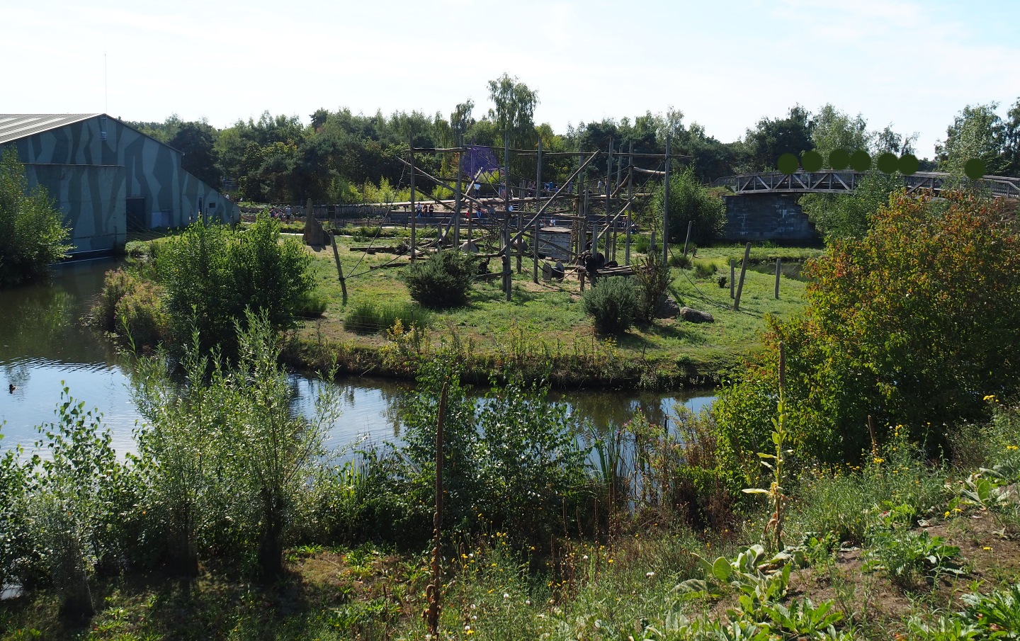 Second Western chimpanzee island,  2019-09-15