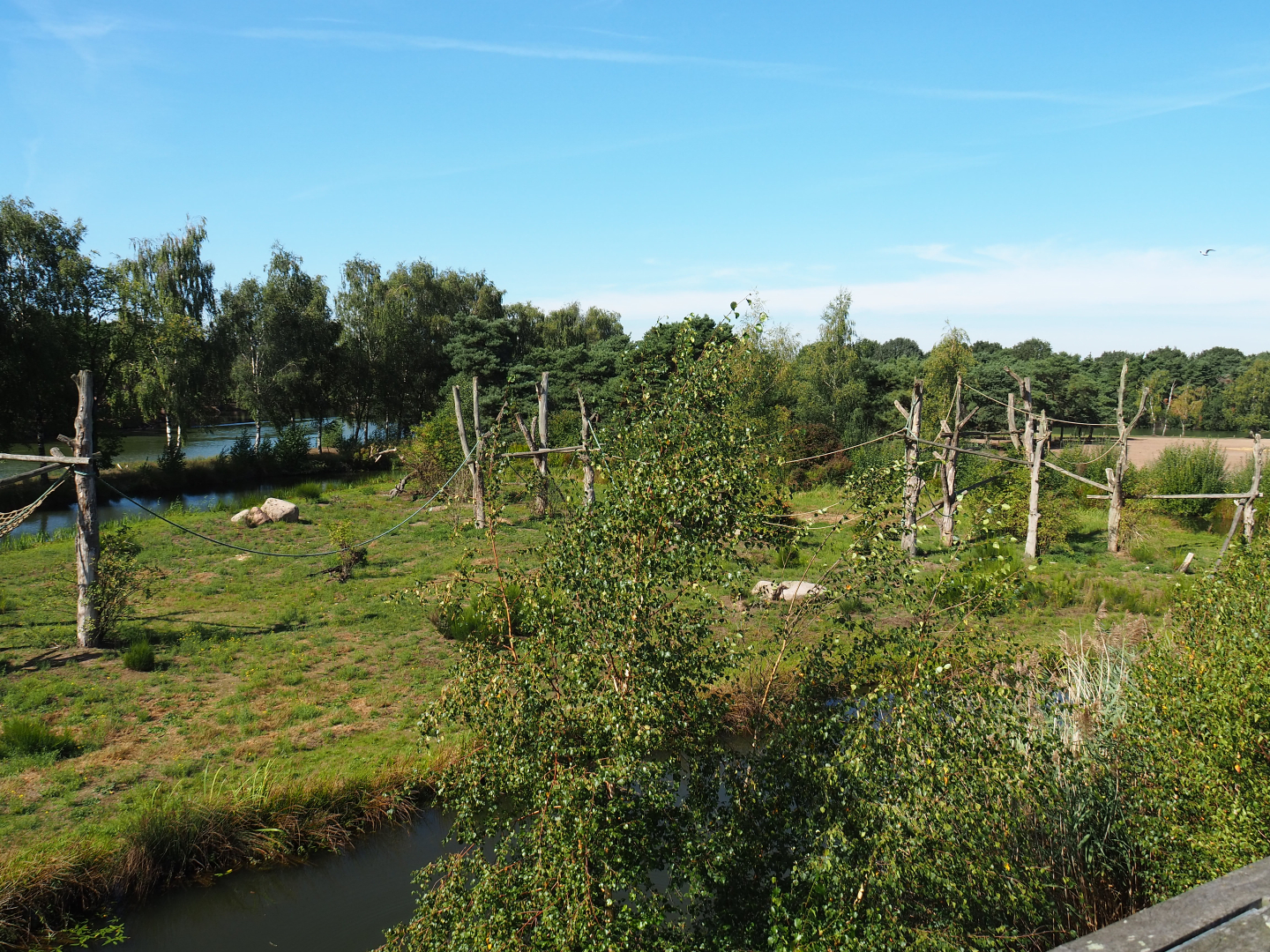 Second Western chimpanzee island,  2019-09-15