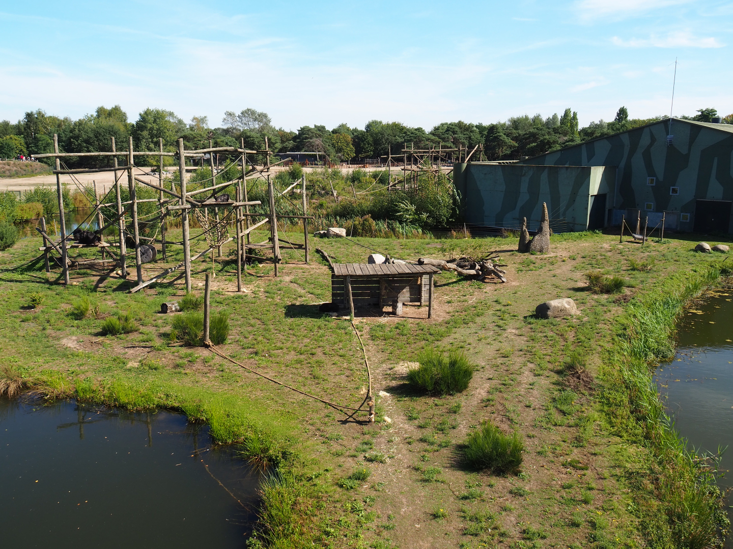 Second Western chimpanzee island, 2019-09-15