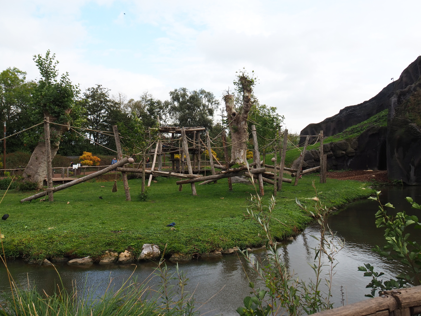Second western lowland gorilla island and second gorilla volcano, 2019-10-04