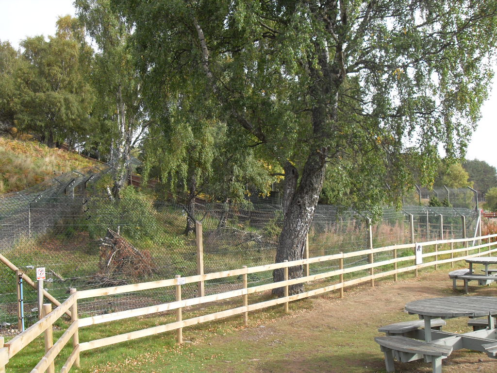 Second wolverine enclosure