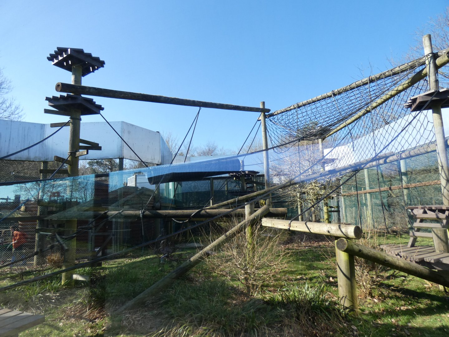 Second Wooly Monkey enclosure