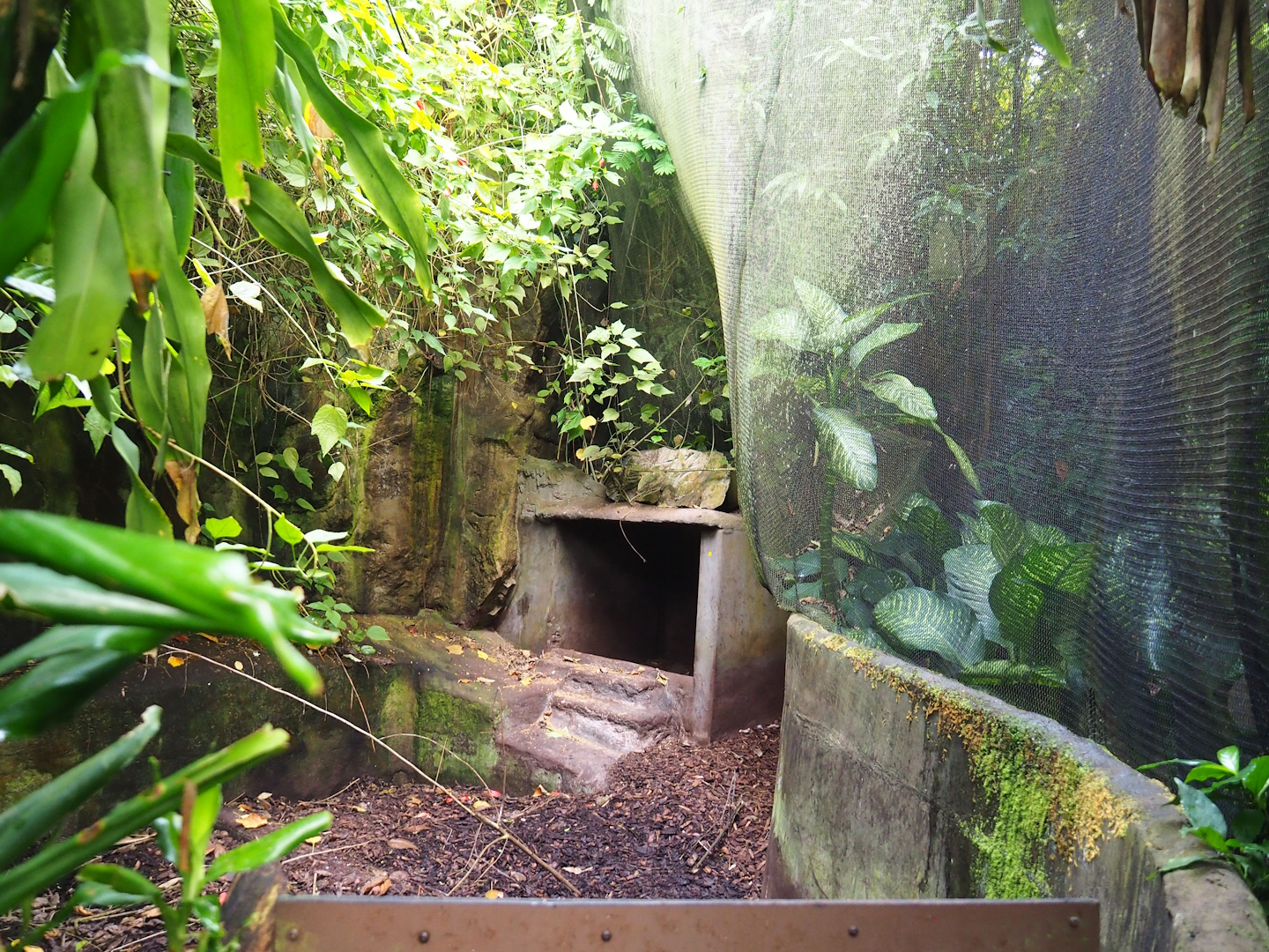 Secondary Aardvark exhibit, 2023-10-07