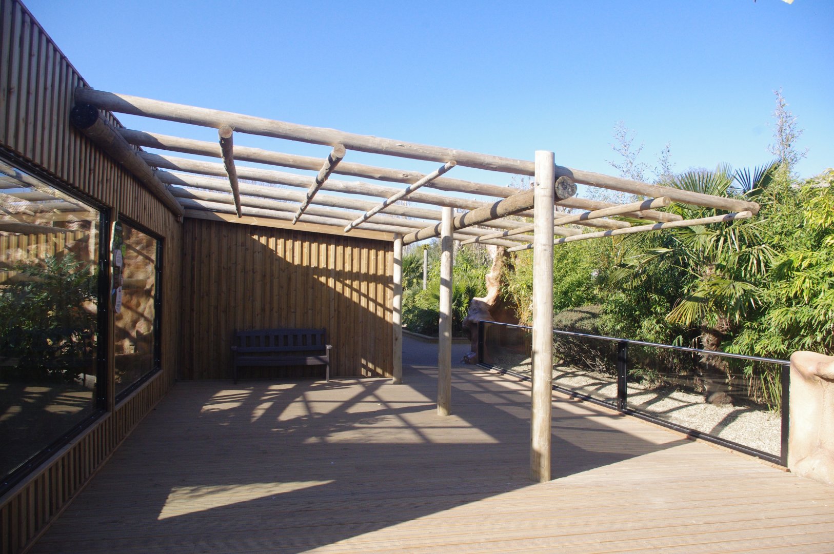 Secondary capuchin outdoor viewing area-  Capuchin Climb- 10/4/2025