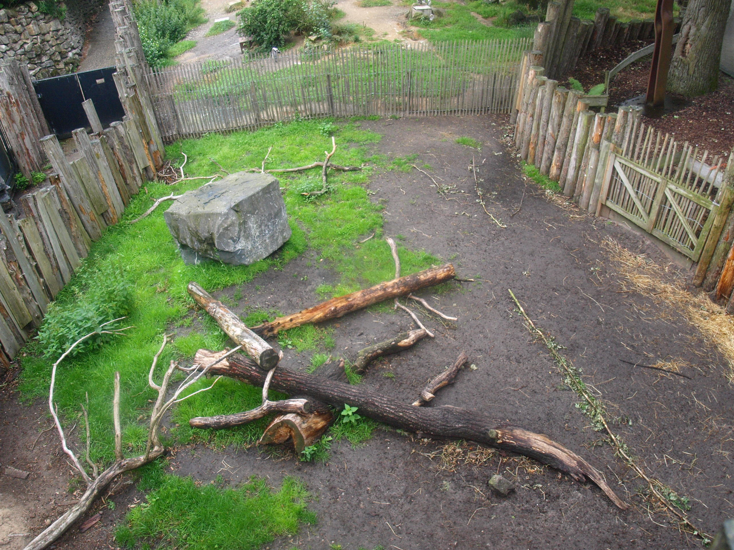 Secondary Domestic goat paddock, 2015-07-19